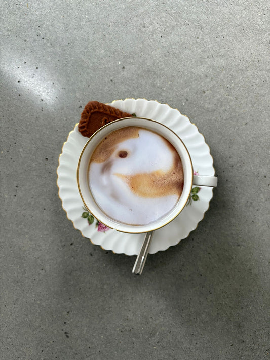 Cappuccino met Candace